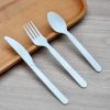 CPLA 7-inch knife, fork, and spoon