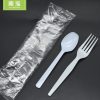 Cheap Price Western-style PS tableware Set of Two (Fork & Spoon)