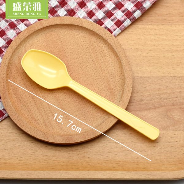Cheap Price Western-style PS tableware Set of Two (Fork & Spoon)