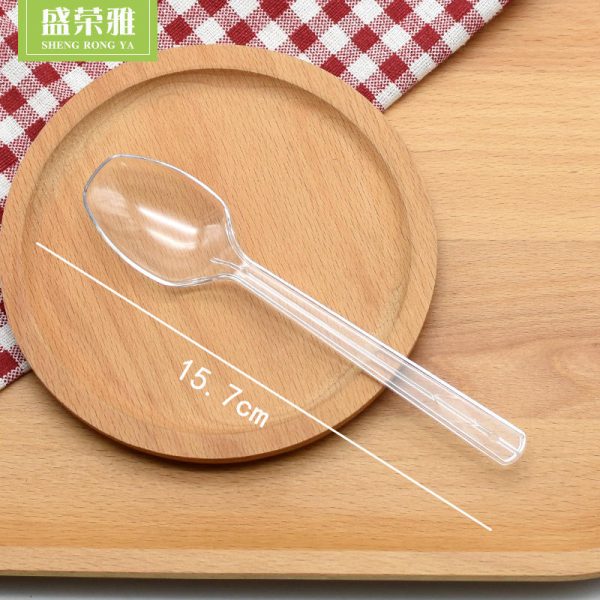 Cheap Price Western-style PS tableware Set of Two (Fork & Spoon)