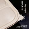 Cornstarch Divided Containers