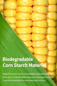 Cornstarch Divided Containers